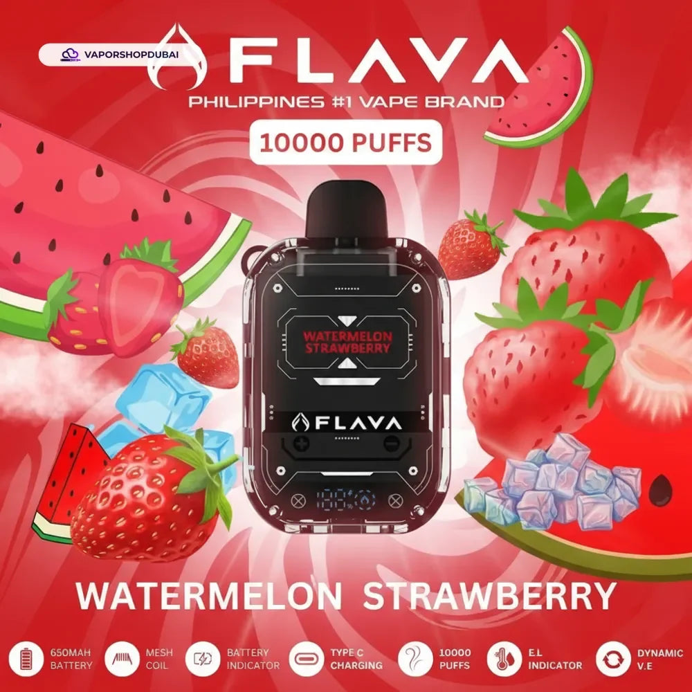 Flava Nimmbox 10000 Puffs Disposable Vape In UAE