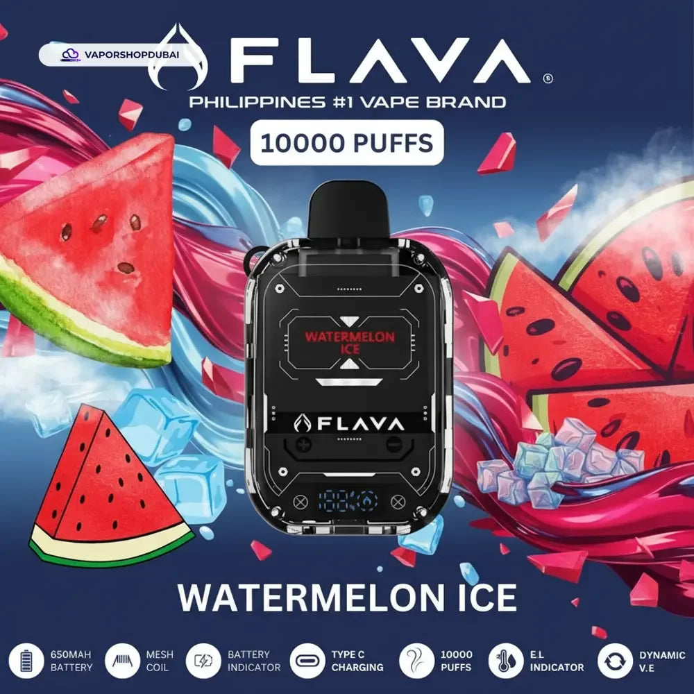 Flava Nimmbox 10000 Puffs Disposable Vape In UAE