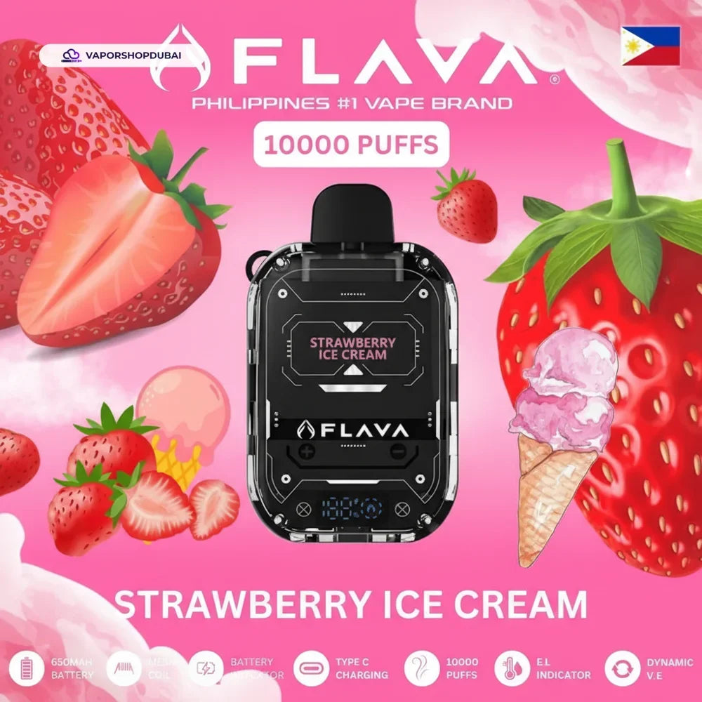 Flava Nimmbox 10000 Puffs Disposable Vape In UAE