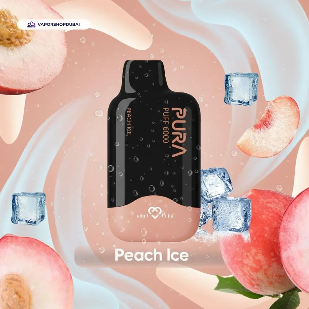 Pura 6000 Puffs Disposable Vape 2% In UAE