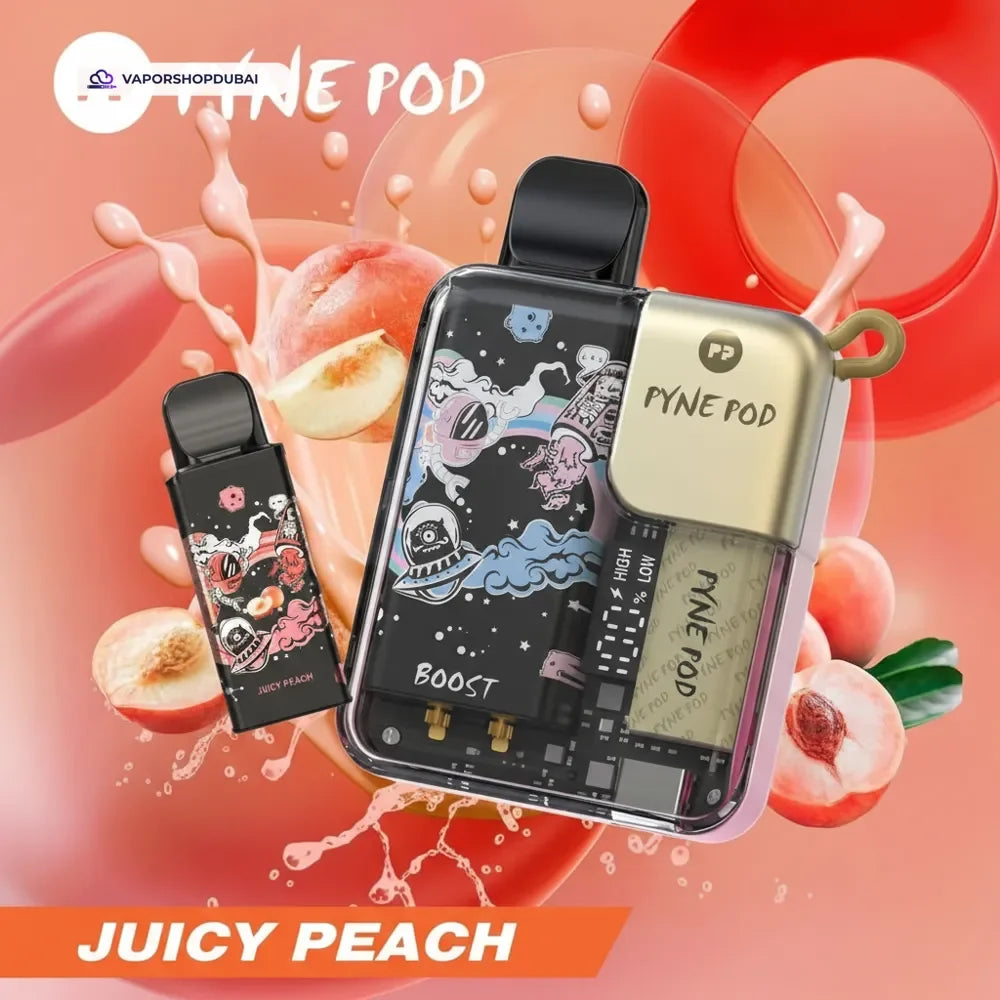 Pyne Pod 8000 Puffs Disposable Vape (Replaceable Pod) UAE