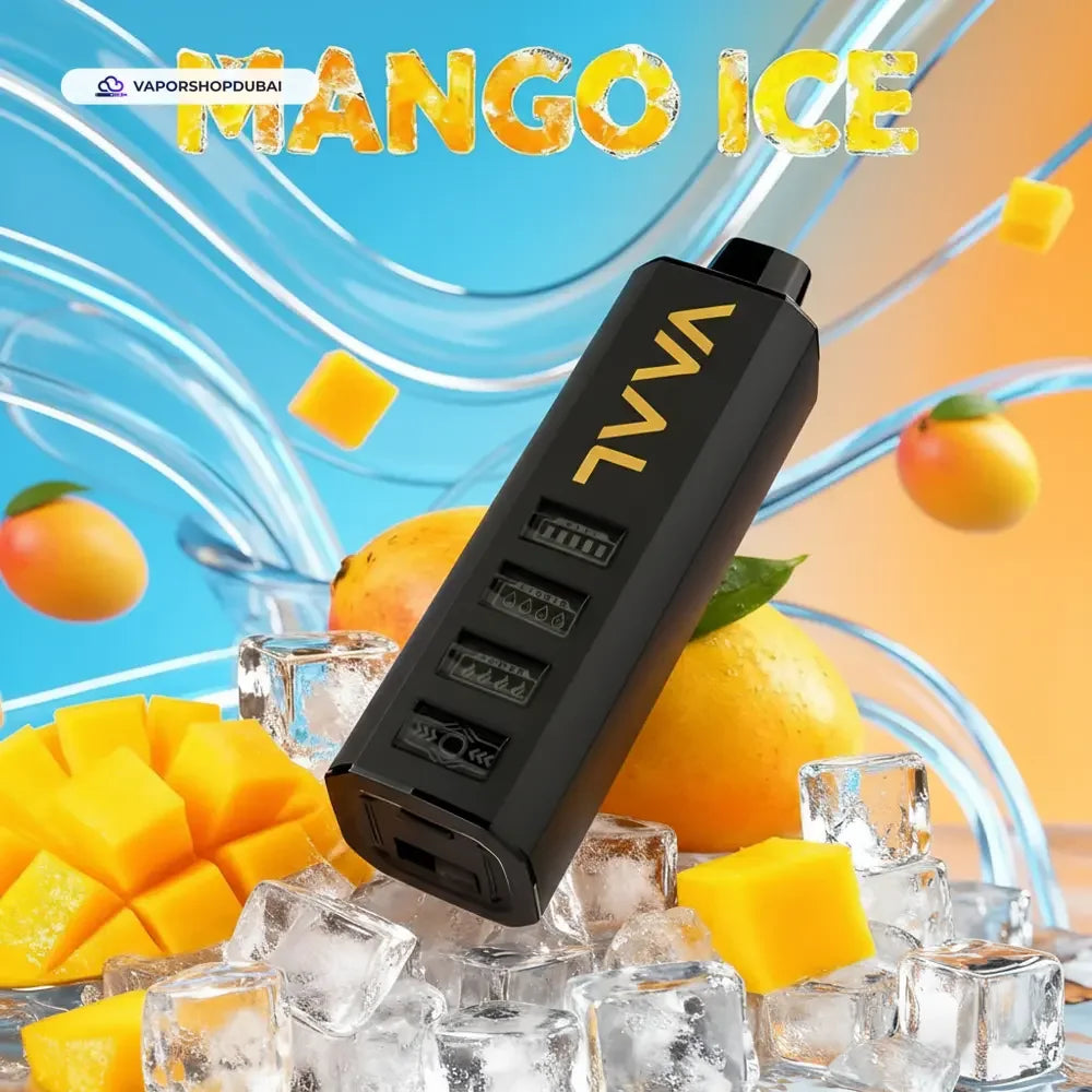 VAAL Cyber Shisha 50000 Puffs 5mg DTL Disposable Vape flavors UAE | Emirates Vapor Dubai