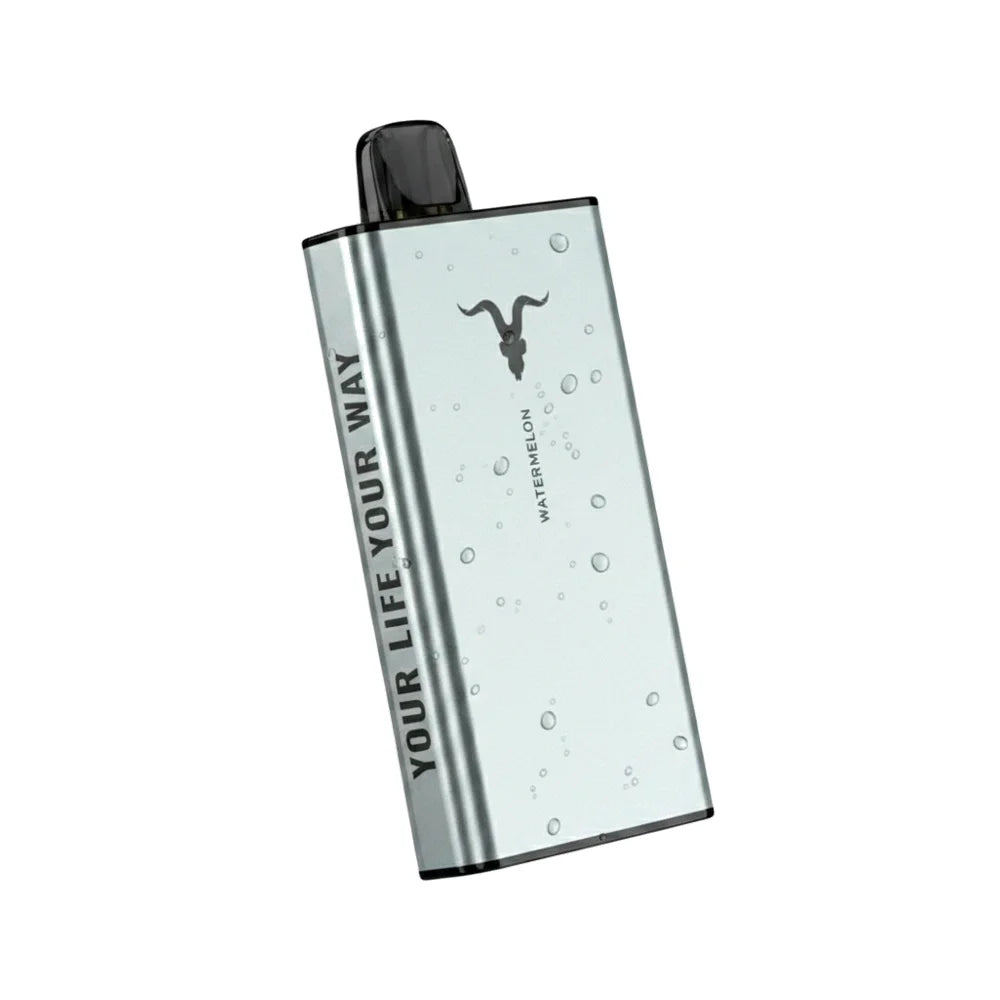 Ignite Ice 40000 Puffs Disposable Vape | ICY flavour | 50 mg nicotine