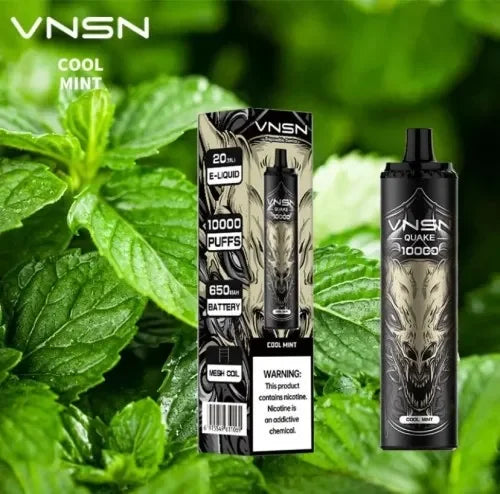VNSN QUAKE | Best Vape Shop Dubai (2026)