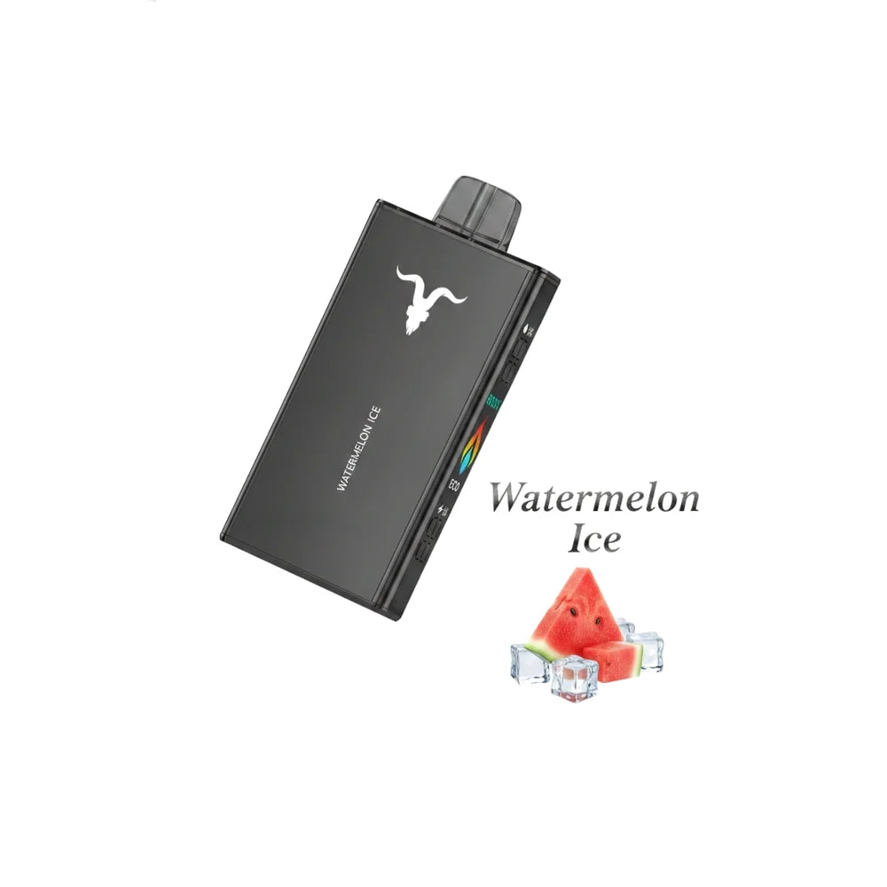 IGNITE - V250 Rechargeable Disposable Vape (25,000 Puffs)