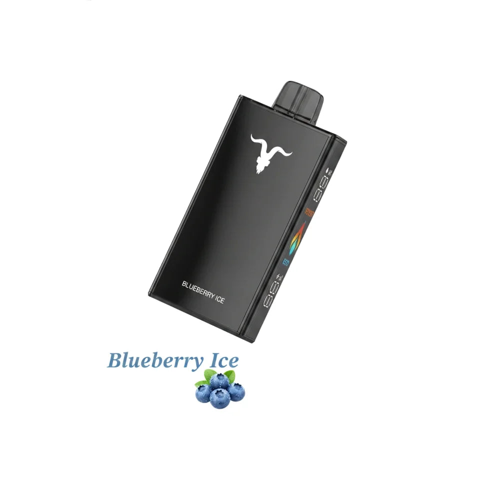 IGNITE V250 25000 Puffs Rechargeable Disposable Vape UAE