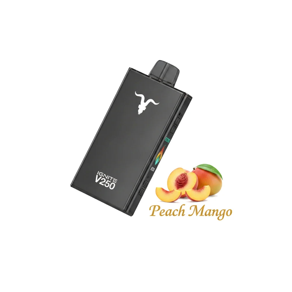 IGNITE - V250 Rechargeable Disposable Vape (25,000 Puffs)