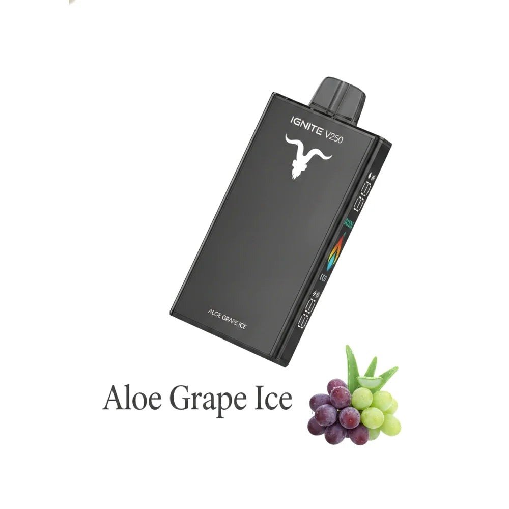 IGNITE V250 25000 Puffs Rechargeable Disposable Vape UAE