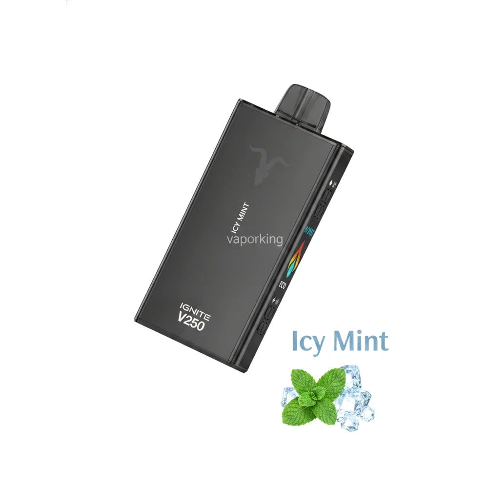 IGNITE V250 25000 Puffs Rechargeable Disposable Vape UAE