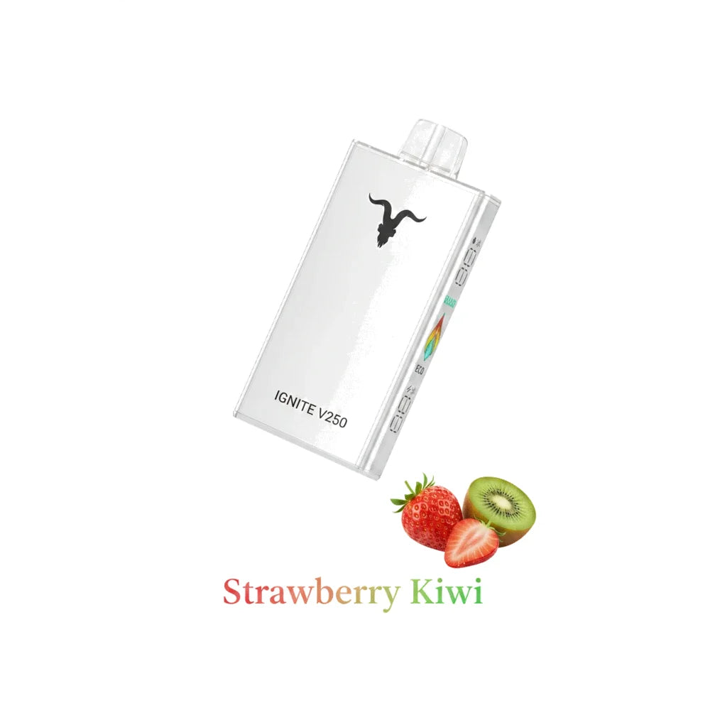 IGNITE - V250 Rechargeable Disposable Vape (25,000 Puffs)