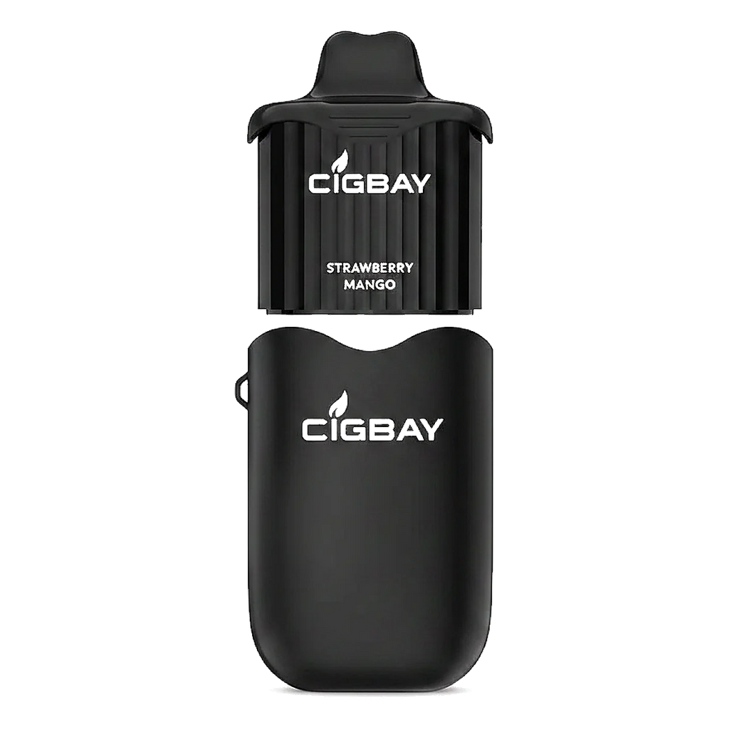 Cigbay 26000 Puffs Disposable Vape Kit 20mg in the UAE