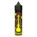Double Apple by Nasty Shisha 60ml E-liquid In UAE