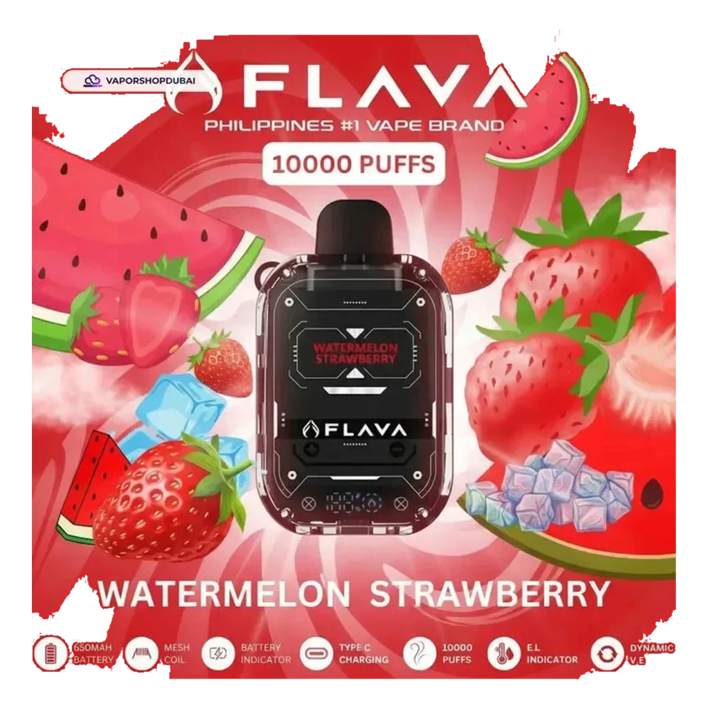 Buy Emirates Vapor Flava Nimmbox 10000 Puffs Disposable Vape Dubai same-day delivery