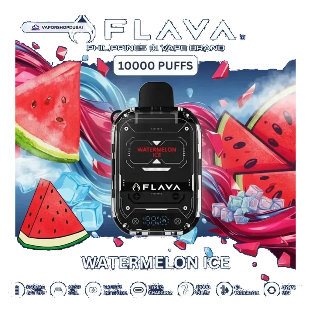 Flava Nimmbox 10000 Puffs Disposable Vape best price UAE — ESMA certified