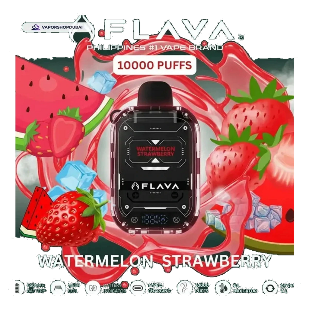 Buy Emirates Vapor Flava Nimmbox 10000 Puffs Disposable Vape Dubai same-day delivery