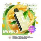 Elfbar EW9000 Replacement Pods Prefilled 9000 Puffs best price UAE — ESMA certified