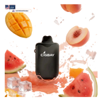 Cigbay 26000 Puffs Disposable Vape Kit 20mg UAE — Buy Dubai | Emirates Vapor