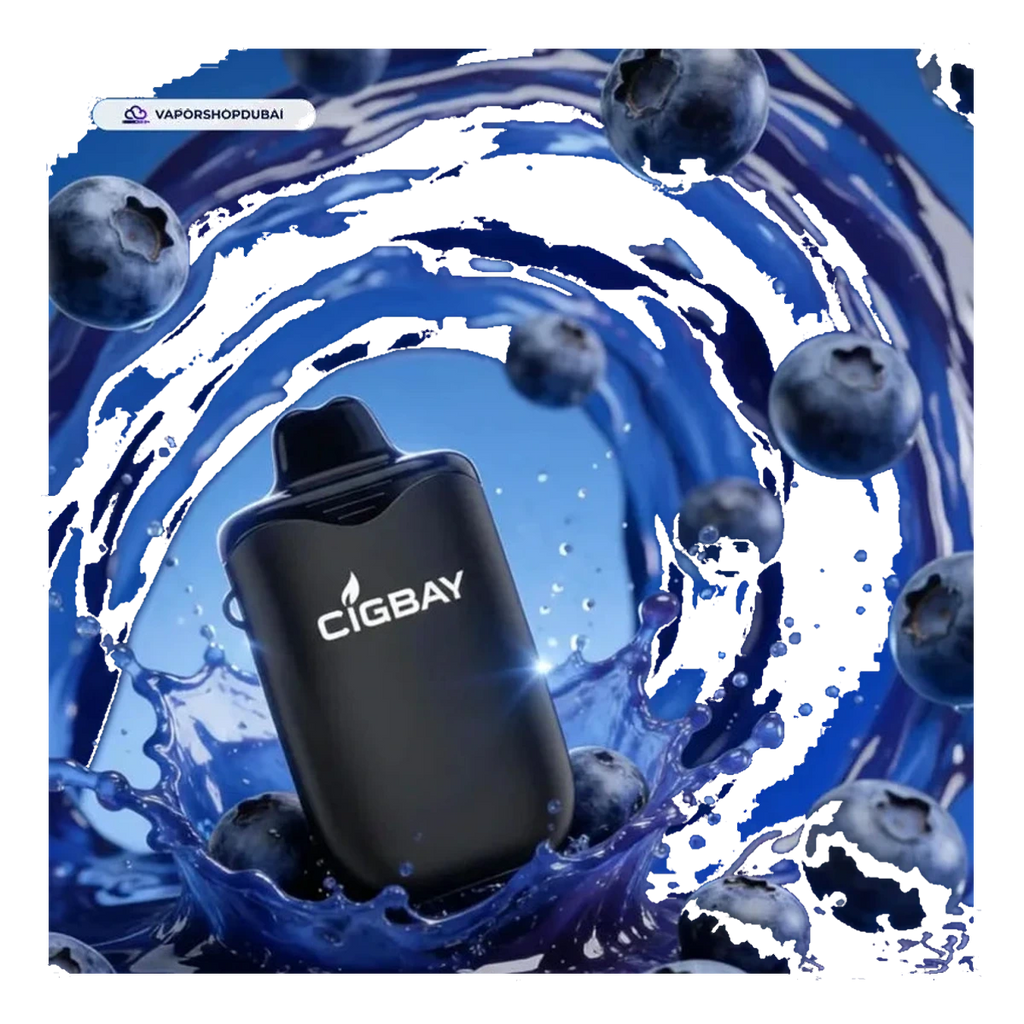 Cigbay 26000 Puffs Disposable Vape Kit 20mg UAE — Buy Dubai | Emirates Vapor