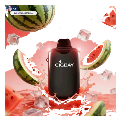 Cigbay 26000 Puffs Disposable Vape Kit 20Mg Uae — AED 30 | Emirates Vapor