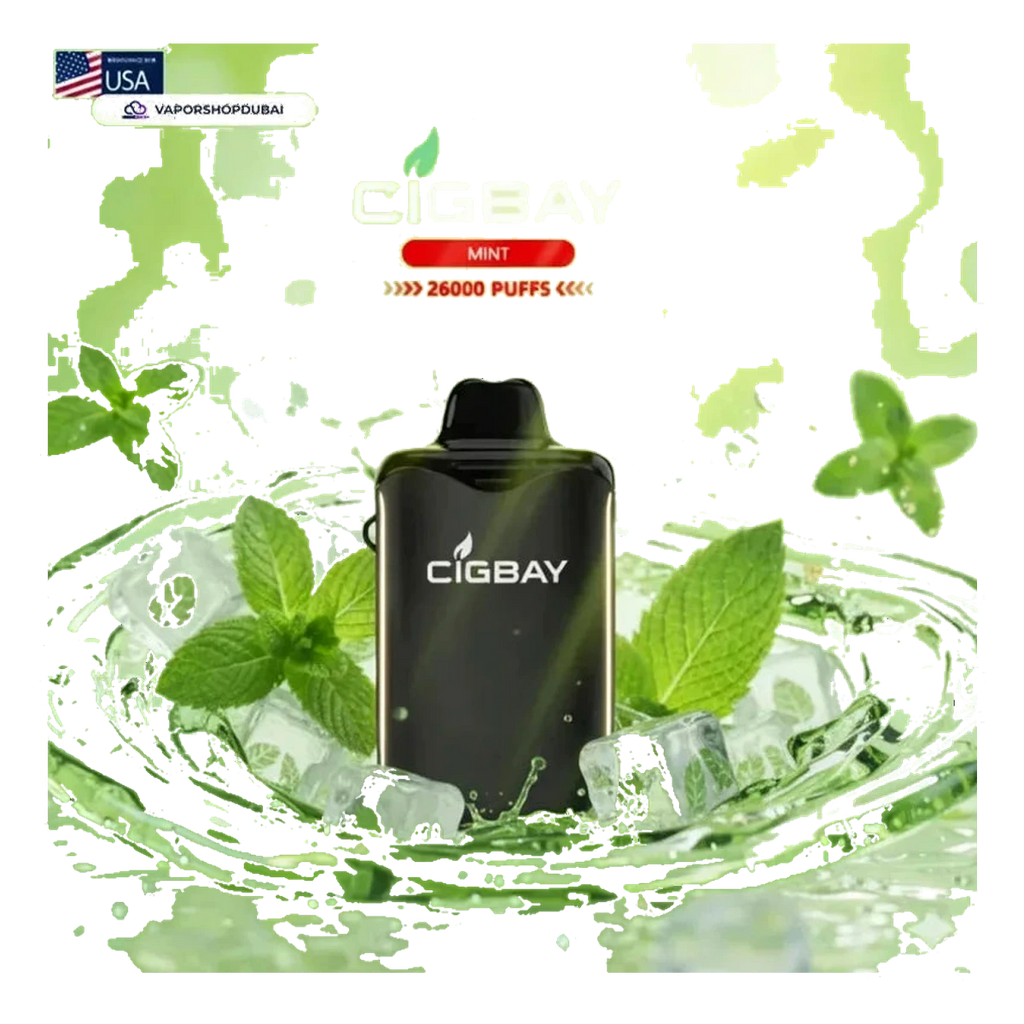 Cigbay 26000 Puffs Disposable Vape Kit 20mg best price UAE — ESMA certified