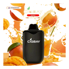 Cigbay 26000 Puffs Disposable Vape Kit 20mg UAE — Buy Dubai | Emirates Vapor