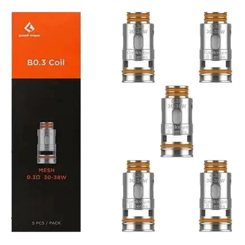Geek B Best Vape Shop (2026) Uae — AED 50 | Emirates Vapor