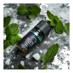 BLVK SALT Best Vape Shop (2026) best price UAE — ESMA certified