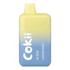 COKII BAR | Best Vape Shop Dubai (2026) | Emirates Vapor UAE