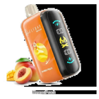 Elfbar Raya D3 25000 Puffs Dual Mesh All Flavors flavors UAE | Emirates Vapor Dubai