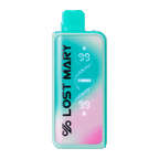 LOST MARY MT 35000 Puff Turbo Disposable Vape miami-mint UAE | Emirates Vapor
