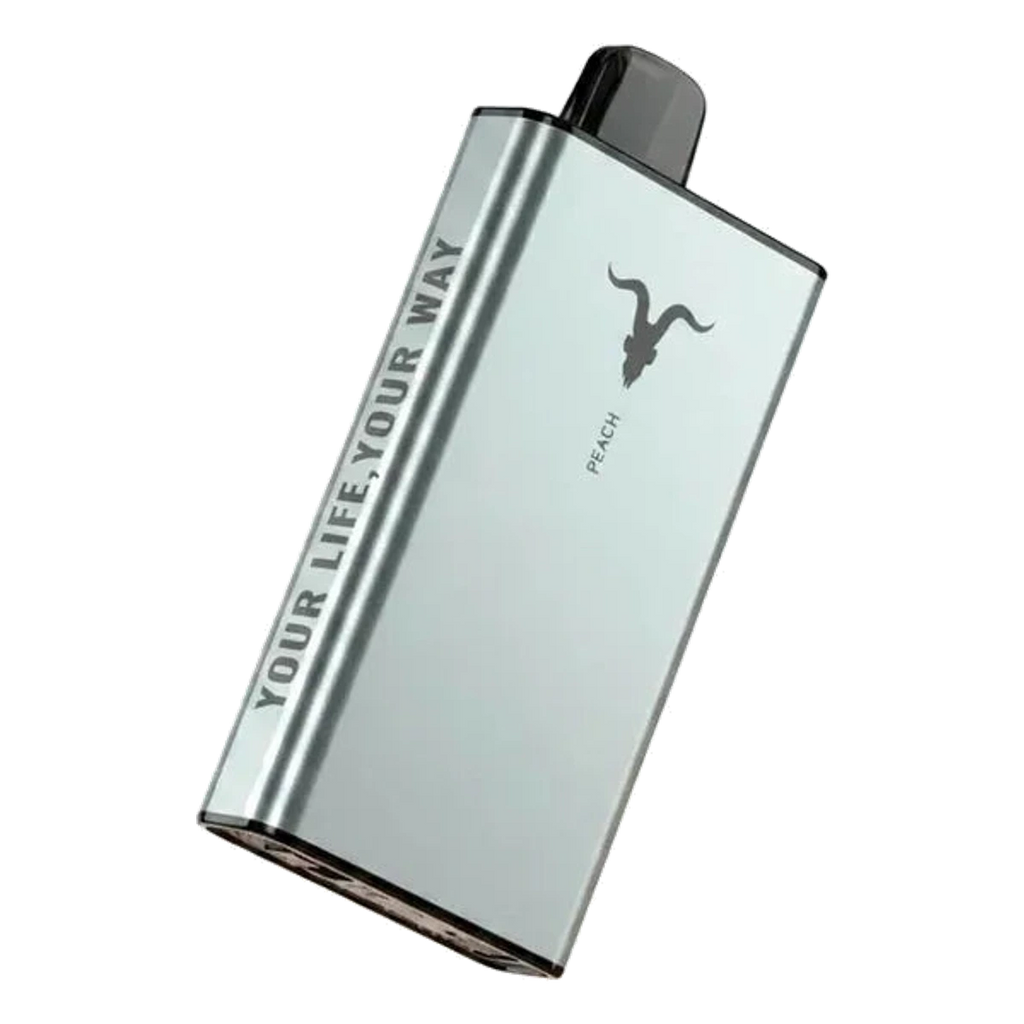 Ignite Ice 40000 Puffs Disposable Vape Icy Flavour 50 Mg Nicotine Uae — AED 75 | Emirates Vapor