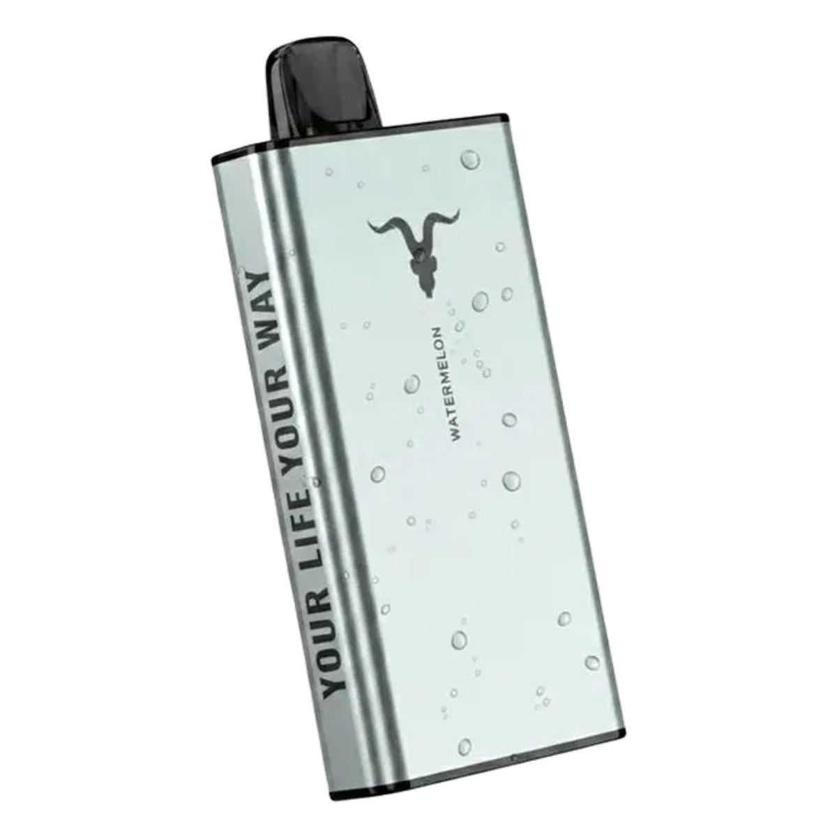 IGNITE Ice 40000 Puffs Disposable Vape ICY flavour 50 mg nicotine flavors UAE | Emirates Vapor Dubai