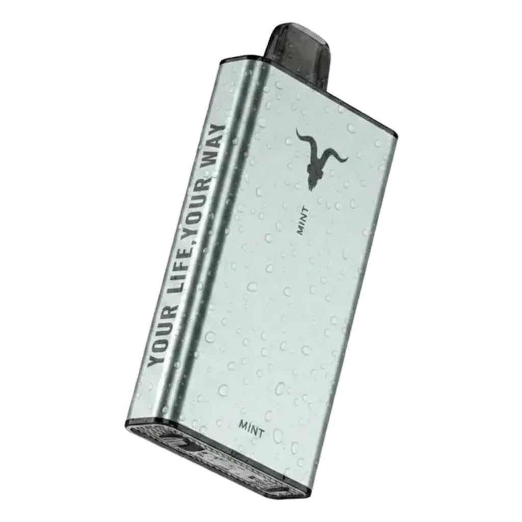 Buy IGNITE IGNITE Ice 40000 Puffs Disposable Vape ICY flavour 50 mg nicotine Dubai same-day delivery