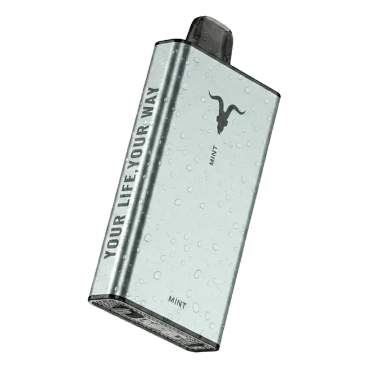Buy IGNITE IGNITE Ice 40000 Puffs Disposable Vape ICY flavour 50 mg nicotine Dubai same-day delivery