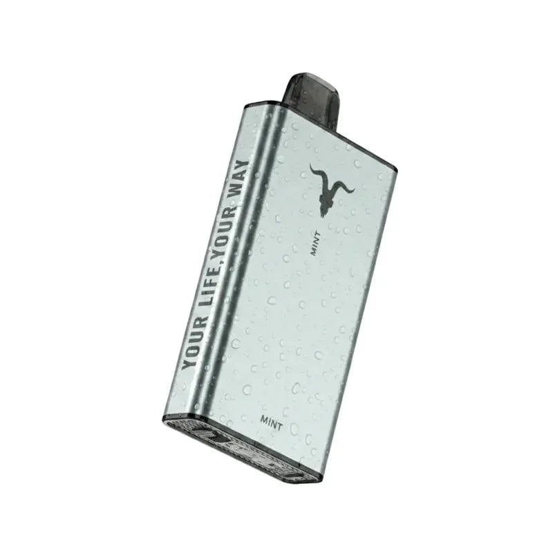 Ignite Ice 40000 Puffs Disposable Vape Icy Flavour 50 Mg Nicotine Uae — AED 75 | Emirates Vapor