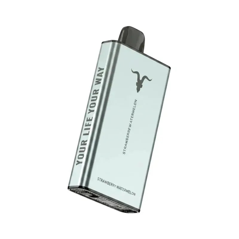 IGNITE Ice 40000 Puffs Disposable Vape ICY flavour 50 mg nicotine flavors UAE | Emirates Vapor Dubai