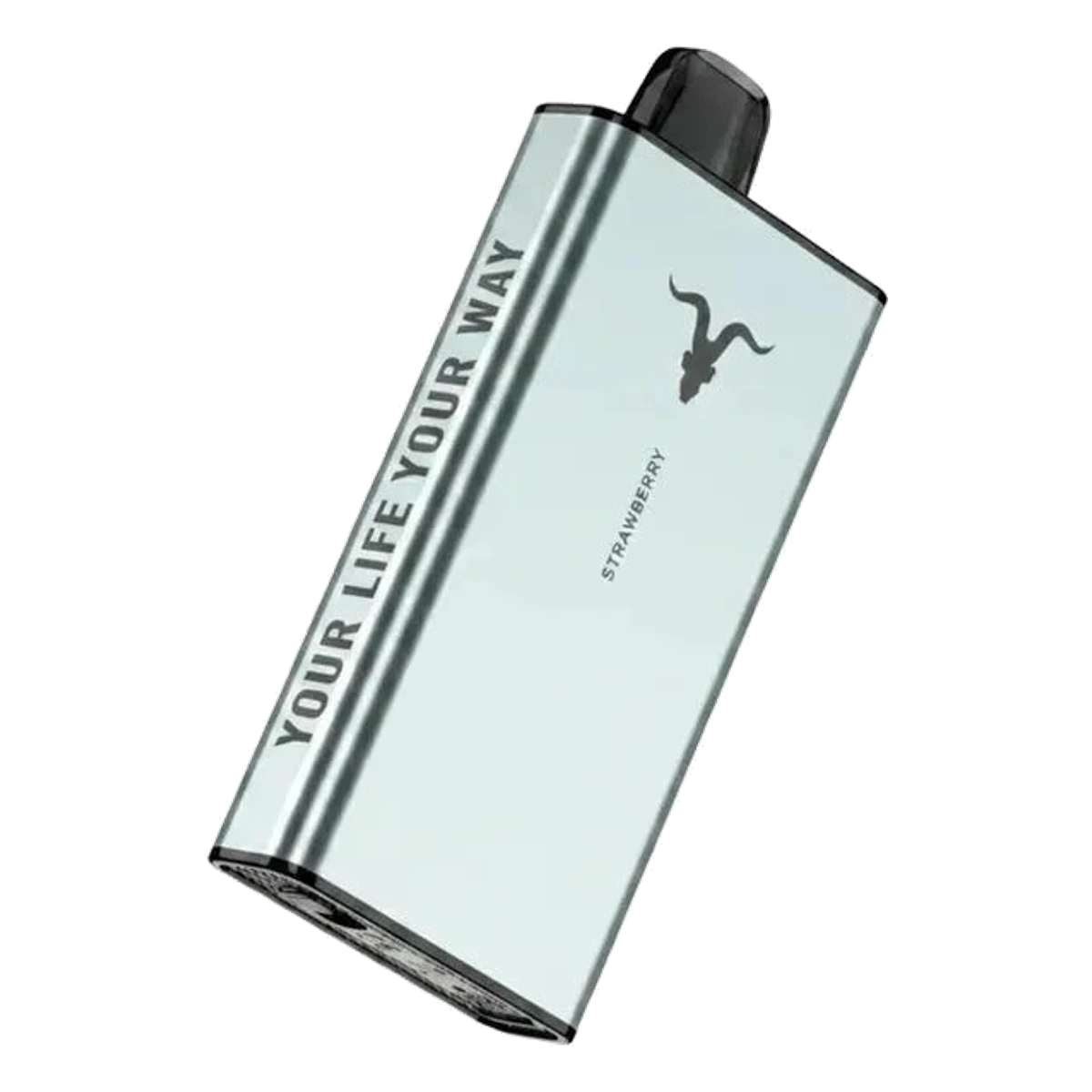 IGNITE Ice 40000 Puffs Disposable Vape ICY flavour 50 mg nicotine flavors UAE | Emirates Vapor Dubai