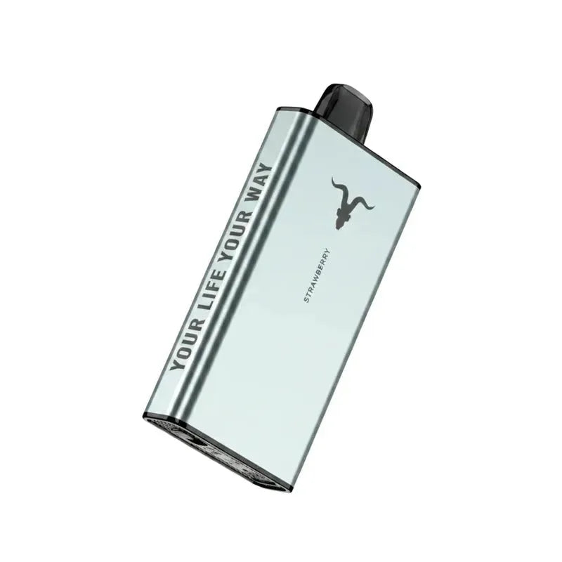 IGNITE Ice 40000 Puffs Disposable Vape ICY flavour 50 mg nicotine UAE — Buy Dubai | Emirates Vapor