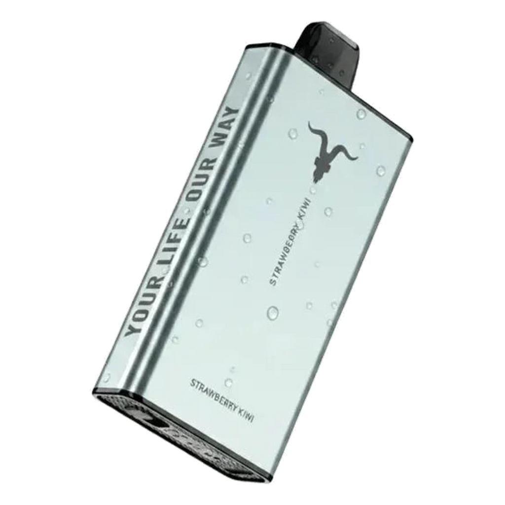 Buy IGNITE IGNITE Ice 40000 Puffs Disposable Vape ICY flavour 50 mg nicotine Dubai same-day delivery