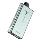 Buy IGNITE IGNITE Ice 40000 Puffs Disposable Vape ICY flavour 50 mg nicotine Dubai same-day delivery