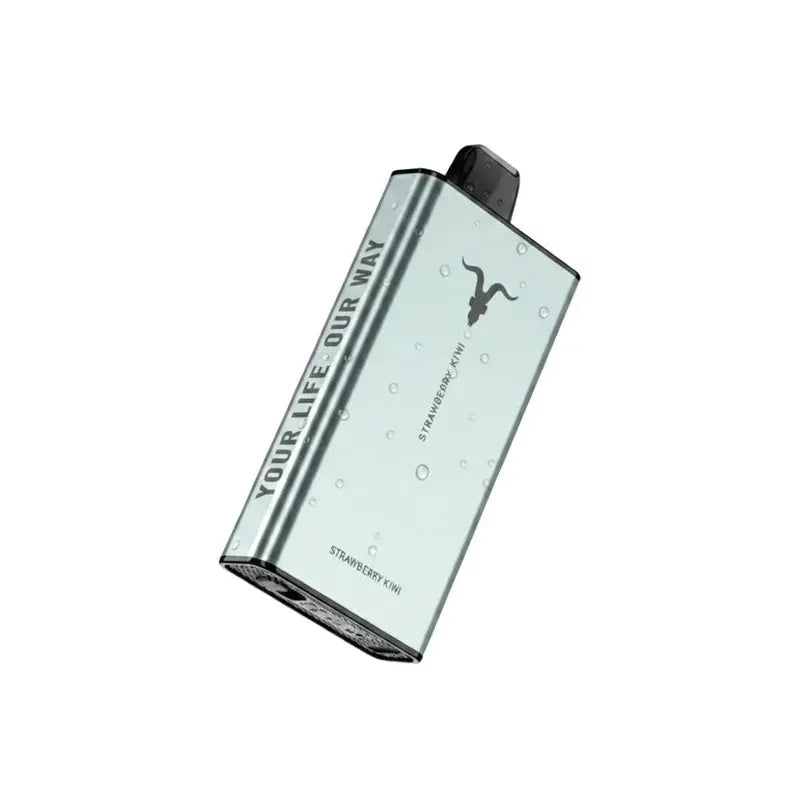 Ignite Ice 40000 Puffs Disposable Vape Icy Flavour 50 Mg Nicotine Uae — AED 75 | Emirates Vapor