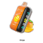 Elfbar Raya D3 25000 puff Disposable Vape best price UAE — ESMA certified