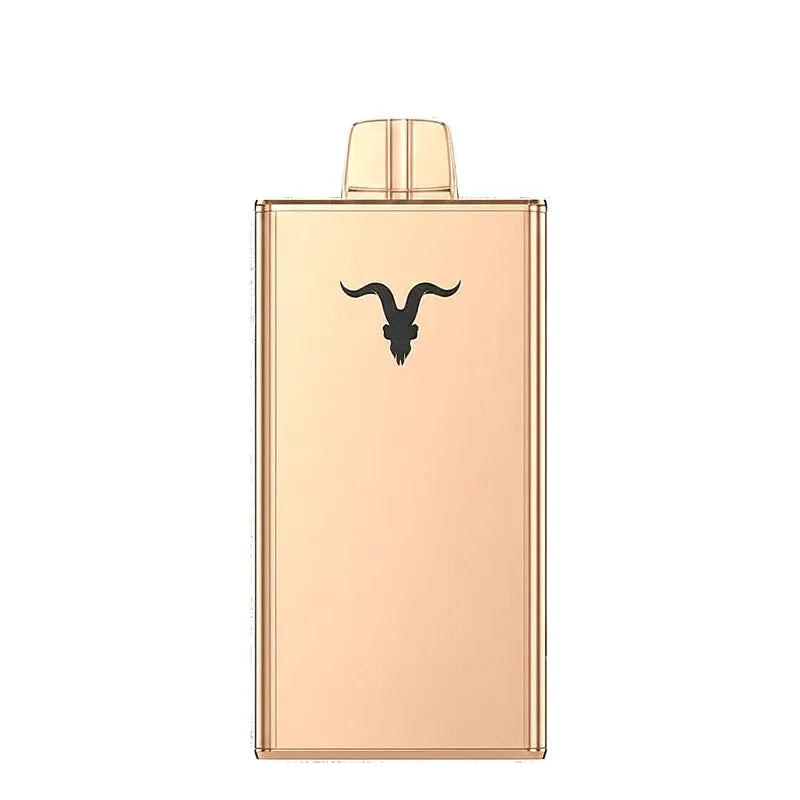 IGNITE V250 25000 Puffs Rechargeable Disposable Vape UAE — Buy Dubai | Emirates Vapor