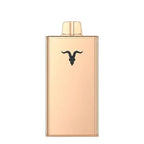 IGNITE V250 25000 Puffs Rechargeable Disposable Vape UAE — Buy Dubai | Emirates Vapor