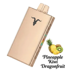 Ignite V250 25000 Puffs Rechargeable Disposable Vape Uae — AED 75 | Emirates Vapor