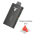 IGNITE V250 25000 Puffs Rechargeable Disposable Vape flavors UAE | Emirates Vapor Dubai