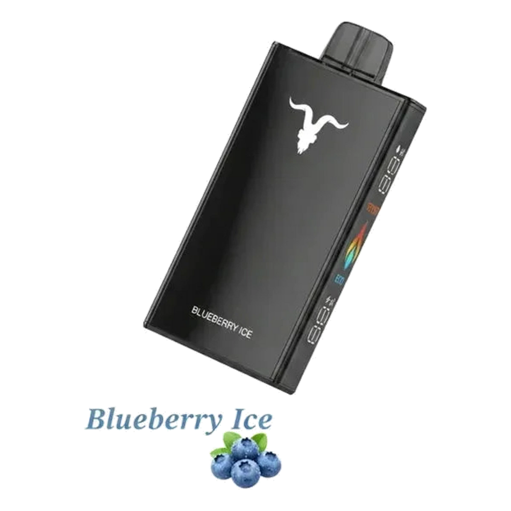 Buy IGNITE IGNITE V250 25000 Puffs Rechargeable Disposable Vape Dubai same-day delivery