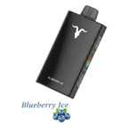 Buy IGNITE IGNITE V250 25000 Puffs Rechargeable Disposable Vape Dubai same-day delivery