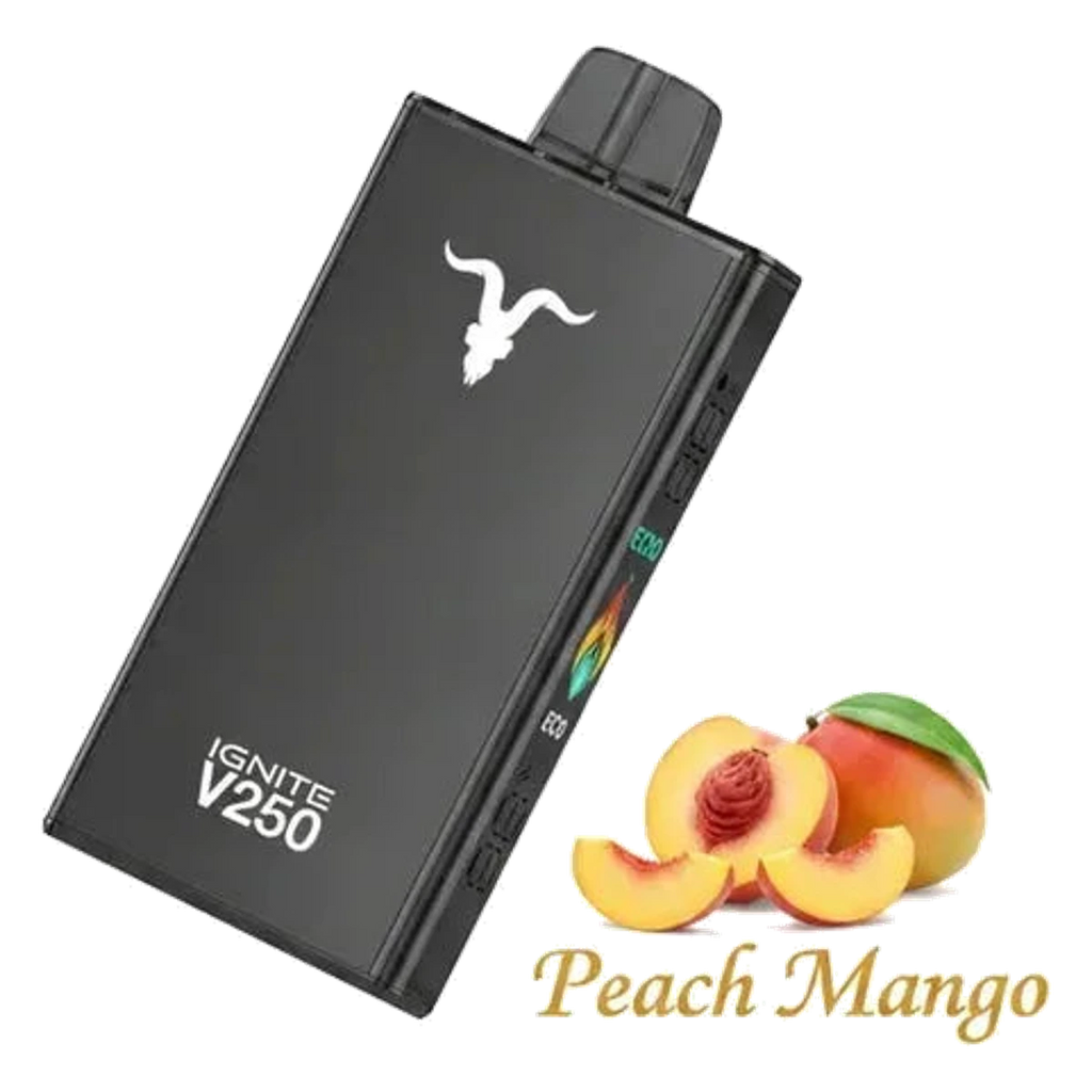 IGNITE V250 25000 Puffs Rechargeable Disposable Vape best price UAE — ESMA certified