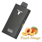 IGNITE V250 25000 Puffs Rechargeable Disposable Vape best price UAE — ESMA certified